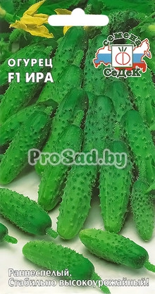 Огурец F1 Ира