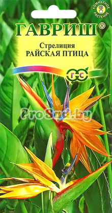 Стрелиция Райская птица