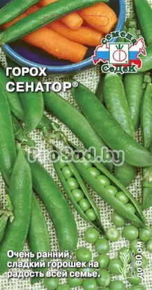 Горох Сенатор
