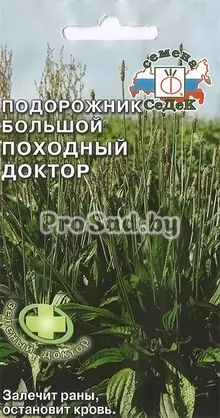 Подорожник большой Походный доктор