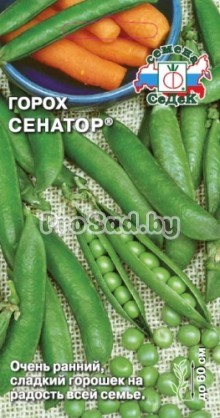 Горох Сенатор