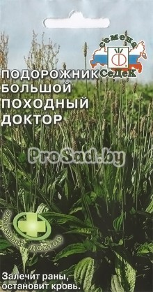 Подорожник большой Походный доктор