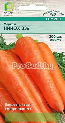 Морковь НИИОХ 336 (драже)