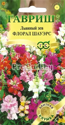 Львиный зев F1 Флорал шауэрс, смесь (Япония)
