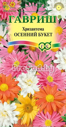 Хризантема индийская Осенний букет