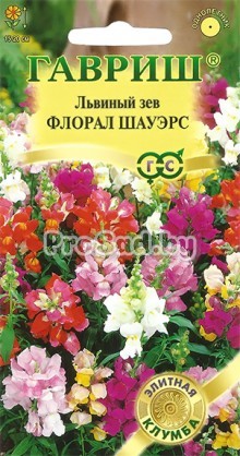 Львиный зев F1 Флорал шауэрс, смесь (Япония)