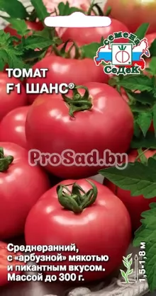 Томат F1 Шанс
