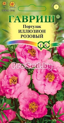 Портулак Иллюзион розовый