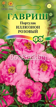 Портулак Иллюзион розовый