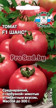 Томат F1 Шанс