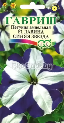 Петуния ампельная F1 Лавина Синяя звезда