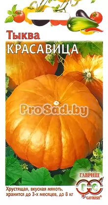 Тыква Красавица