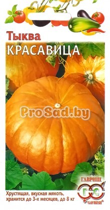 Тыква Красавица