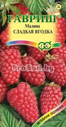 Малина Сладкая ягодка
