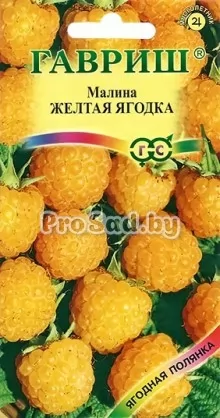 Малина Жёлтая ягодка