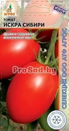 Томат Искра Сибири