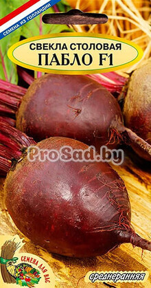 Свекла столовая F1 Пабло