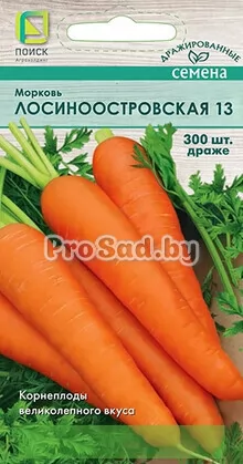 Морковь Лосиноостровская 13 (драже)