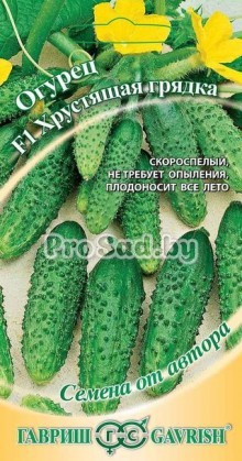 Огурец F1 Хрустящая грядка