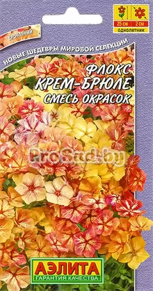Флокс друммонда Крем-брюле, смесь