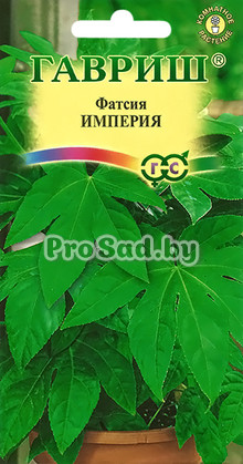 Фатсия японская Империя