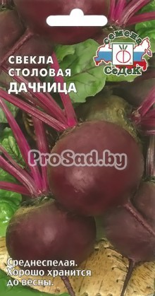 Свекла столовая Дачница