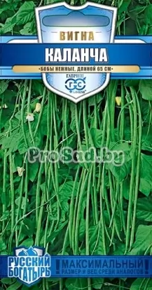 Вигна Каланча