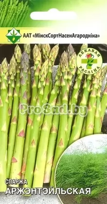 Спаржа Аржентельская