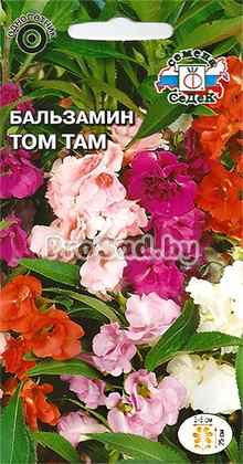 Бальзамин Том Там, смесь