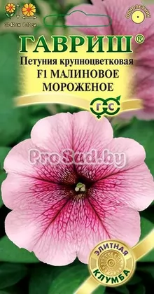 Петуния крупноцветковая F1 Малиновое Мороженое