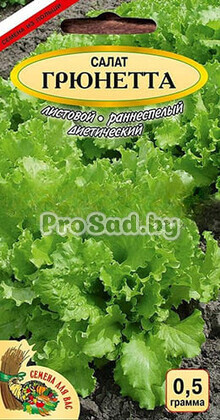 Салат листовой Грюнетта
