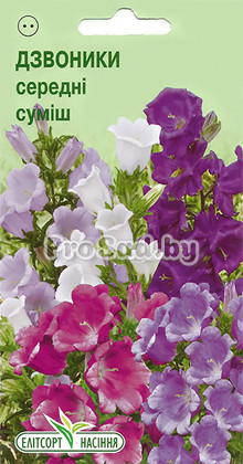Колокольчики средние, смесь