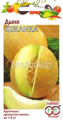 Дыня Южанка