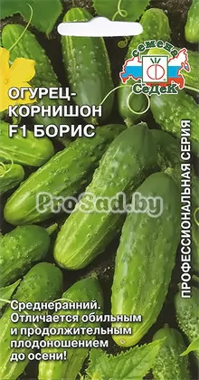 Огурец-корнишон F1 Борис