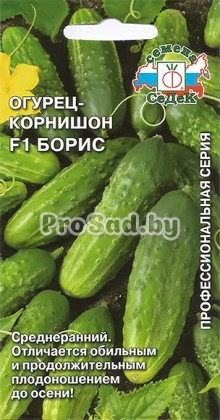 Огурец-корнишон F1 Борис