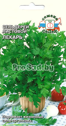 Сельдерей листовой Лекарь