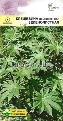 Клещевина обыкновенная Зеленолистная
