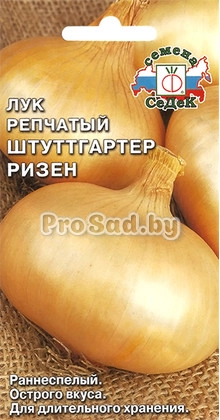 Лук репчатый Штуттгартер ризен