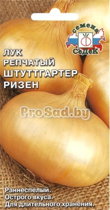 Лук репчатый Штуттгартер ризен