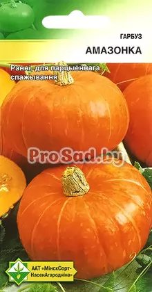 Тыква Амазонка