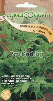 Валериана лекарственная Ульяна