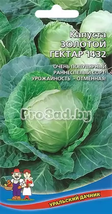 Капуста белокочанная Золотой гектар 1432