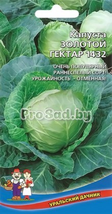 Капуста белокочанная Золотой гектар 1432