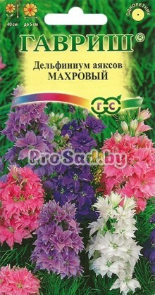 Дельфиниум Аяксов карликовый Махровый