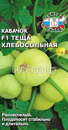 Кабачок F1 Тёща хлебосольная