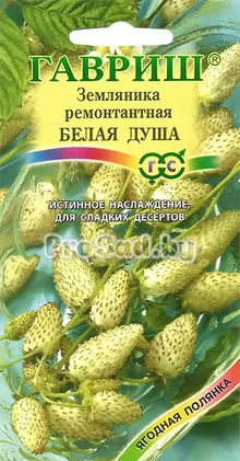 Земляника Белая душа