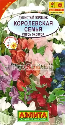Горошек душистый Королевская семья, смесь