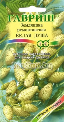 Земляника Белая душа