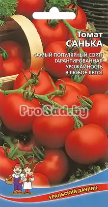 Томат Санька