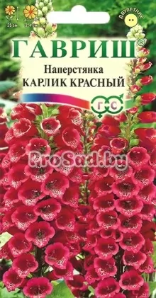 Наперстянка Карлик красный